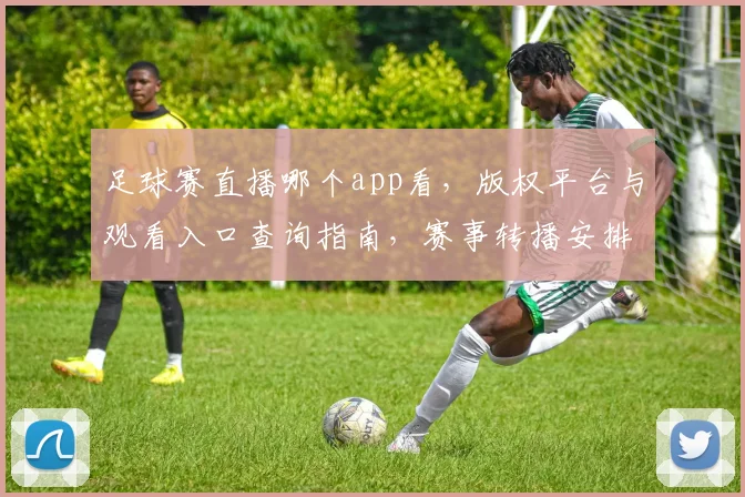 足球赛直播哪个app看，版权平台与观看入口查询指南，赛事转播安排影响分析