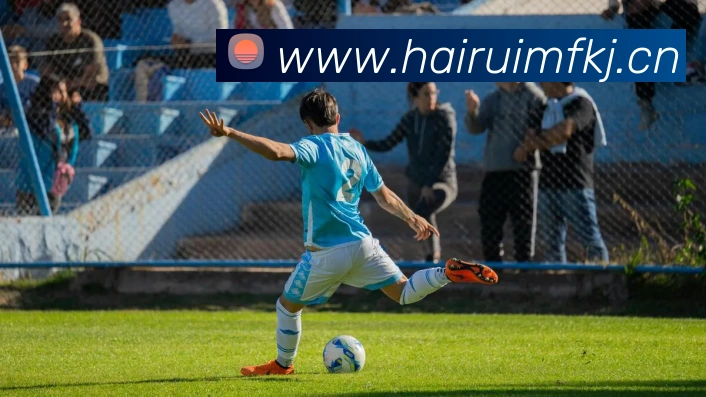 华体网首页官网服务体系